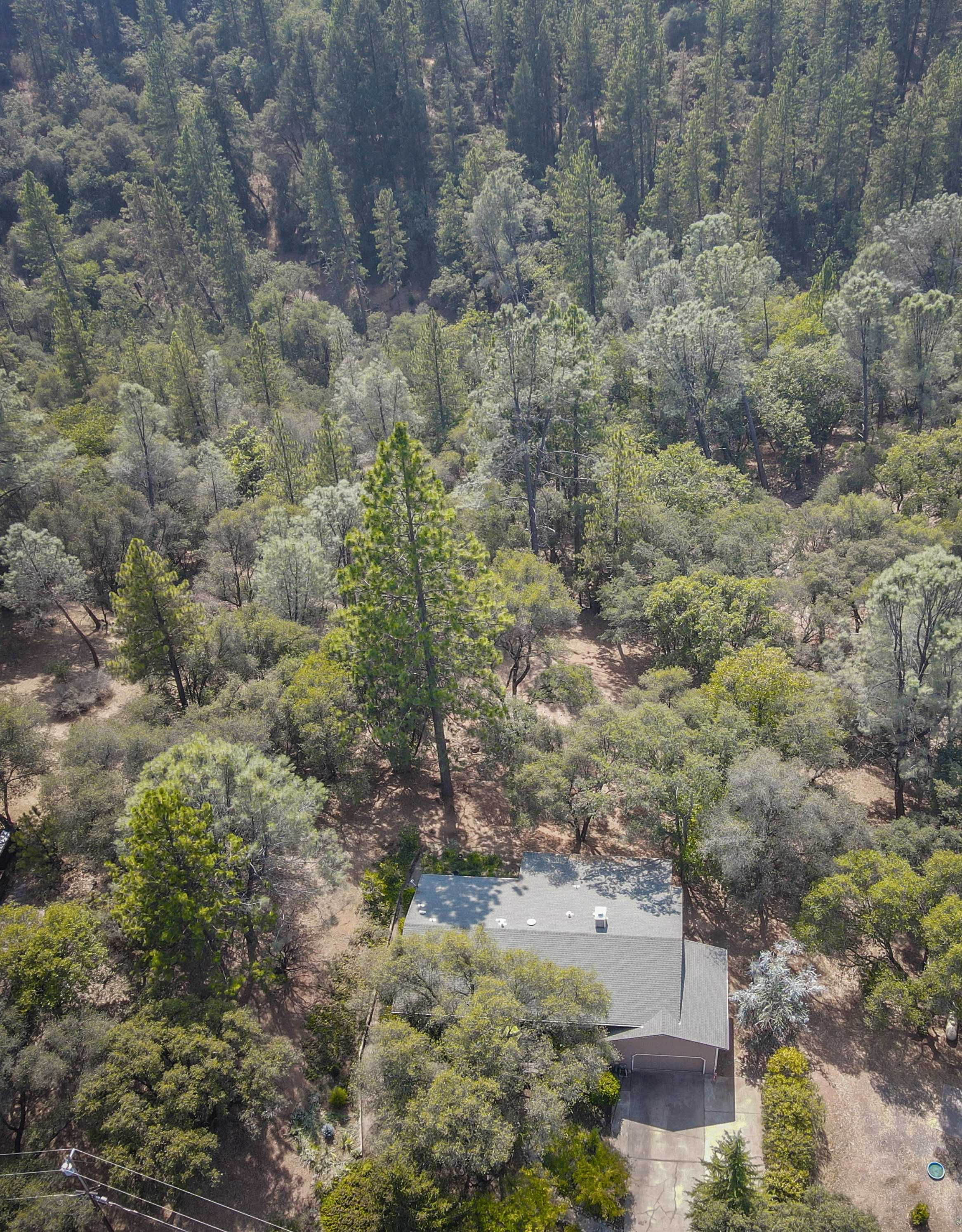 2240 Stoney Hill Ct, Cool, CA, USA, 95614 - Thumbnail 5