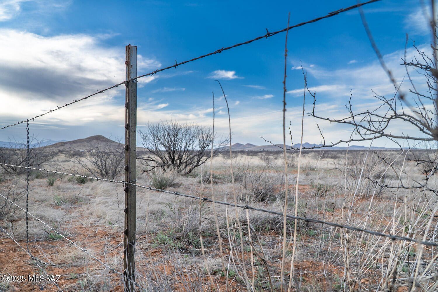 216 Acres Hwy #181 Elfrida, AZ 85610 - Thumbnail 5