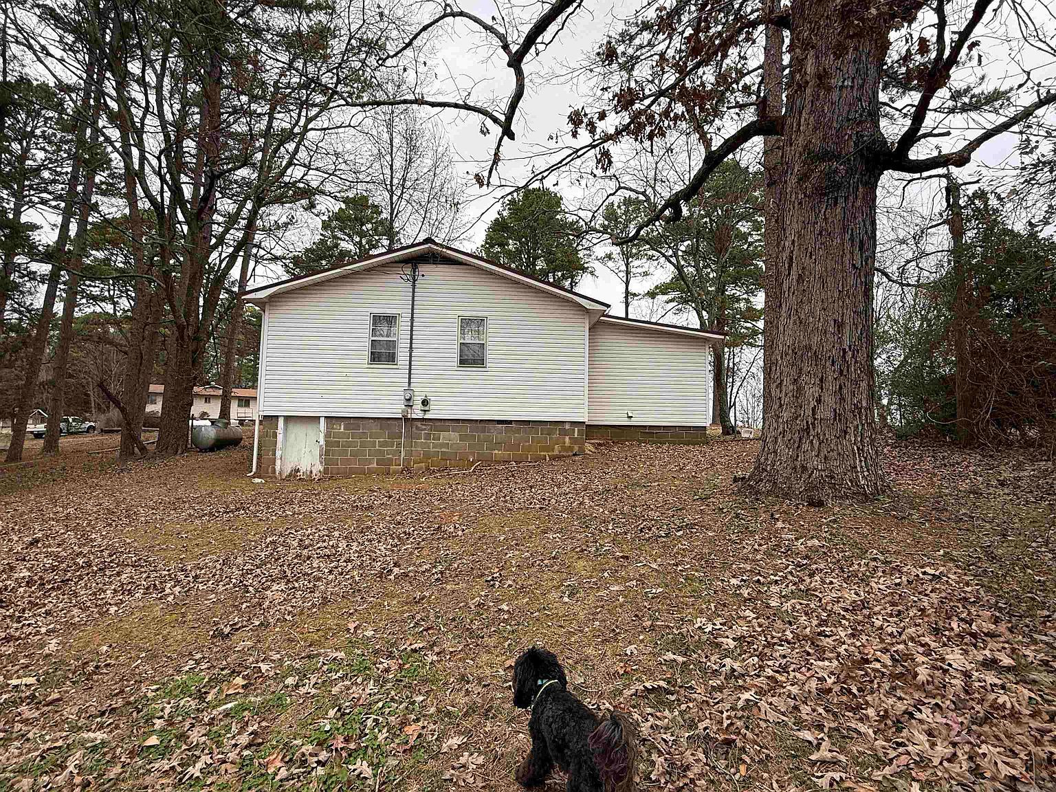 37 Park Cir Evening Shade, AR 72532 - Thumbnail 5