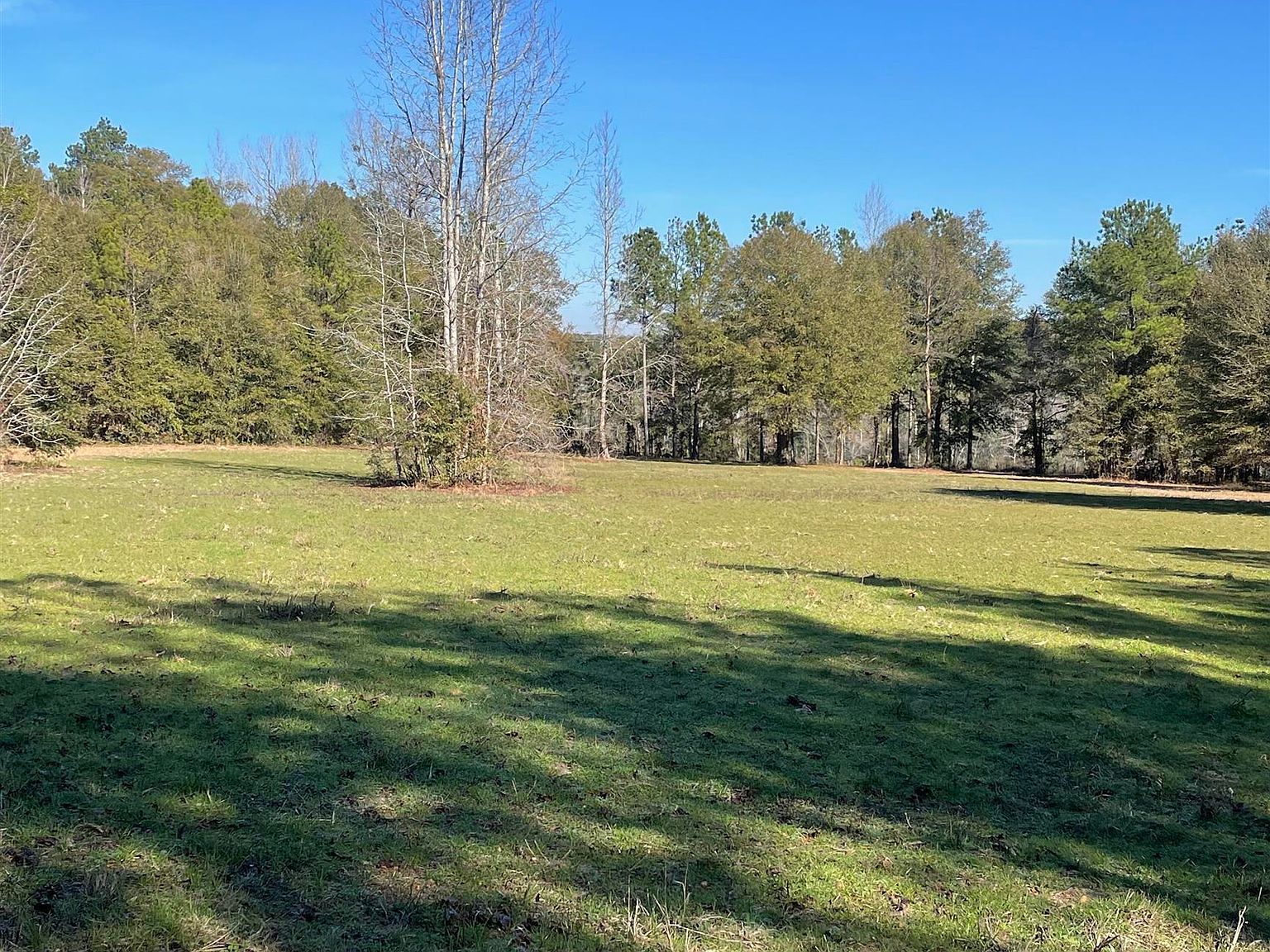 529 Sand Bottom Rd Peterman, AL 36471 - Thumbnail 5