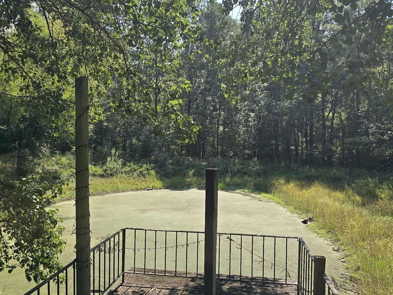 Bittersweet Ln Royal, AR 71968 - Thumbnail 5