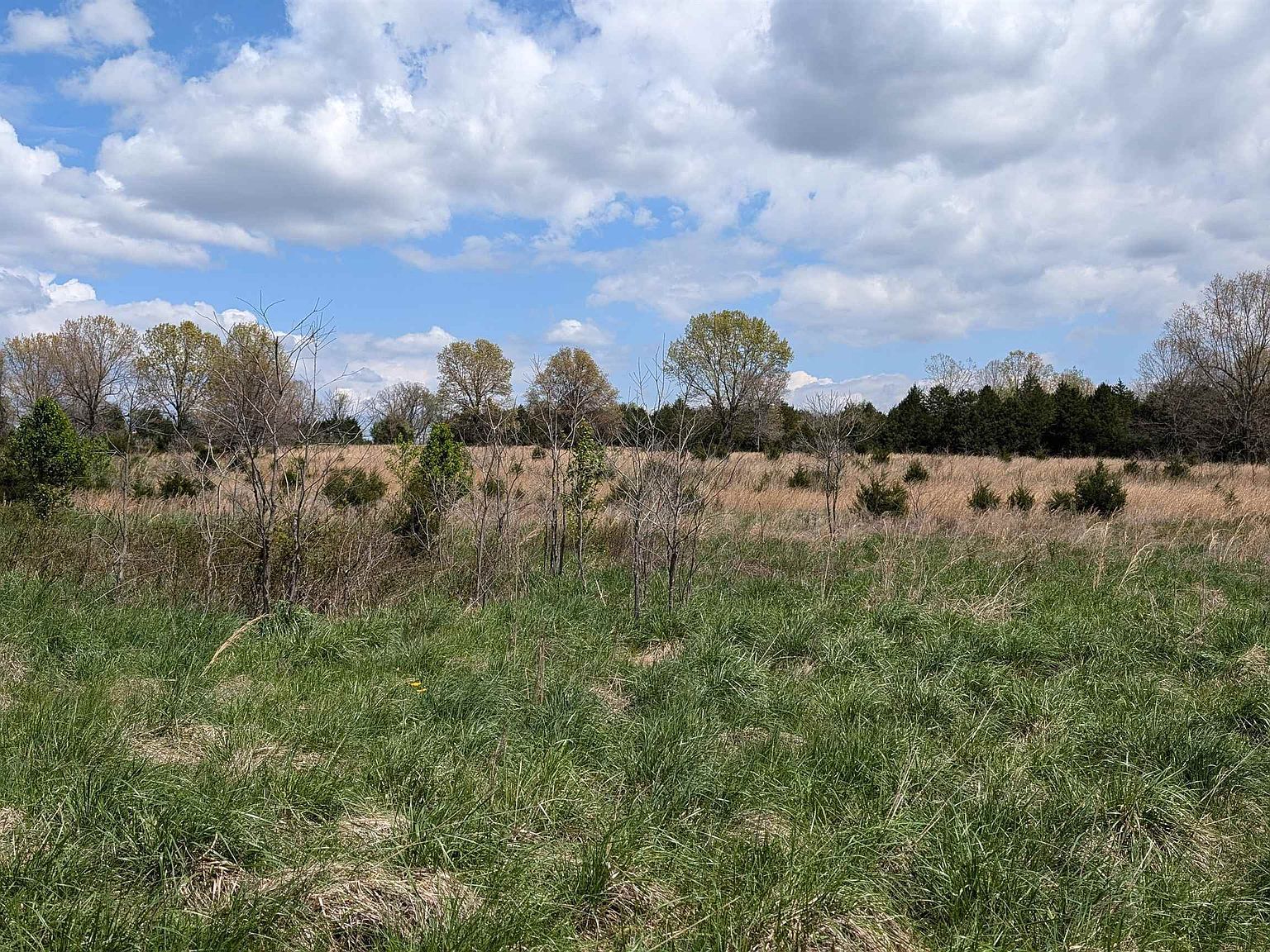 56 High Way Ash Flat, AR 72513 - Thumbnail 5