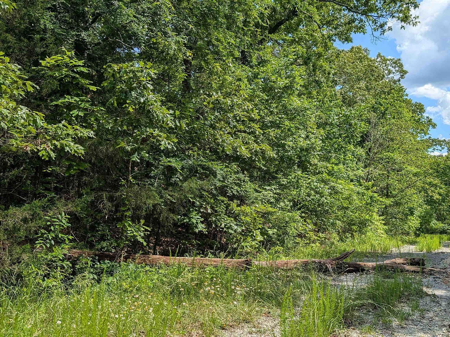 201 Cinderella St Horseshoe Bend, AR 72512 - Thumbnail 5