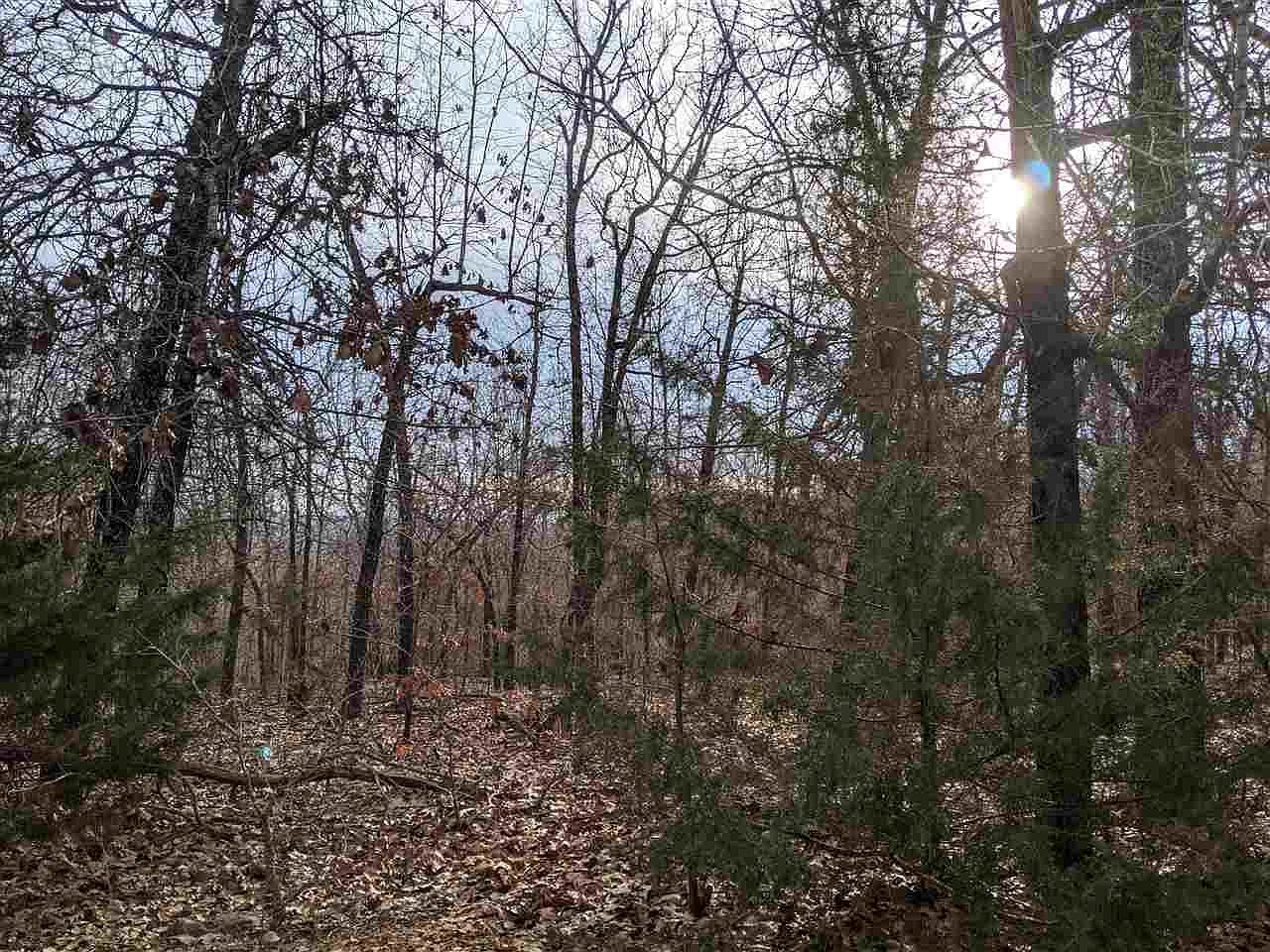 Cherokee Acres Dr Cherokee Village, AR 72529 - Thumbnail 5