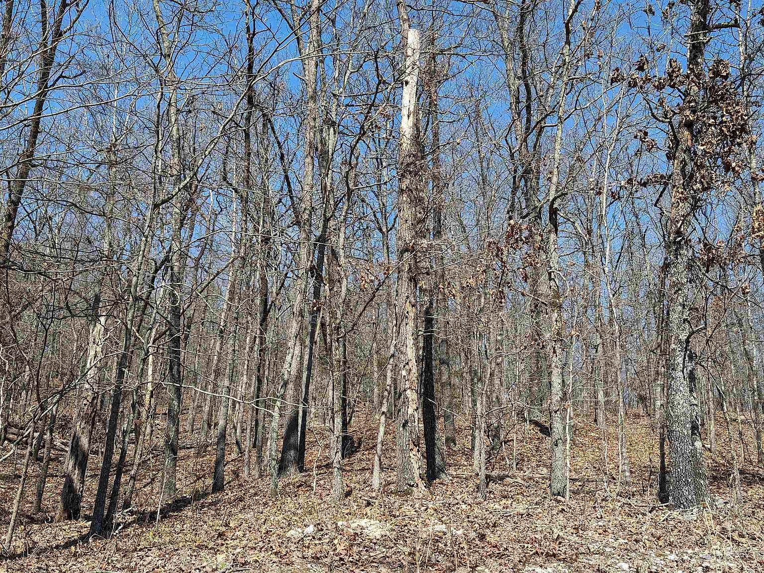 31 Ridgecrest Dr Hardy, AR 72542 - Thumbnail 5