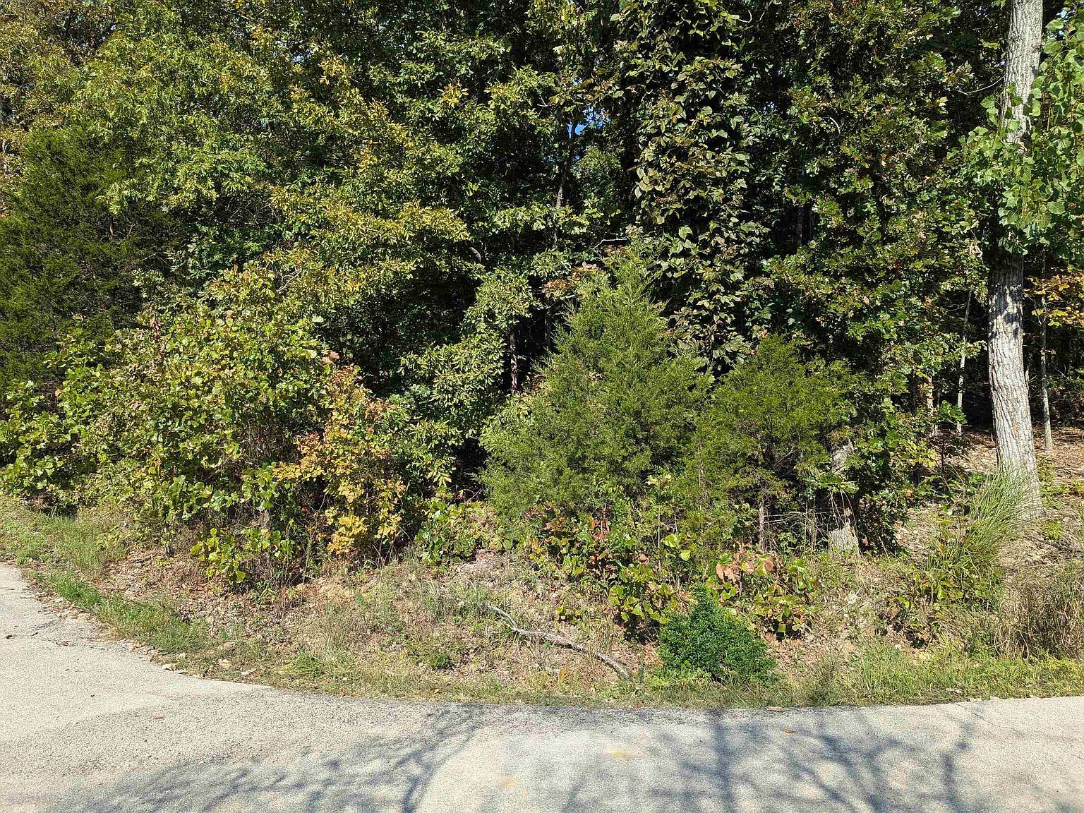 L20-21 22 B6 Lakota Trce Cherokee Village, AR 72529 - Thumbnail 5