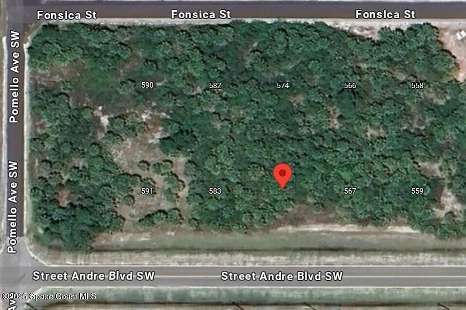 575 Saint Andre Blvd SW Palm Bay, FL 32908 | Land/Lot