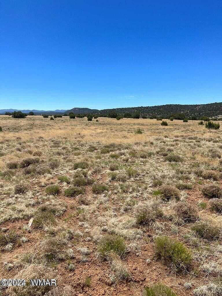 13 County Road 8006 Concho, AZ 85924 - Thumbnail 5