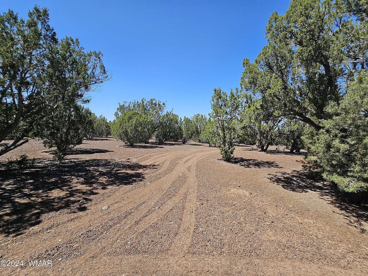 1259 Ranch Rd Show Low, AZ 85901 - Thumbnail 5