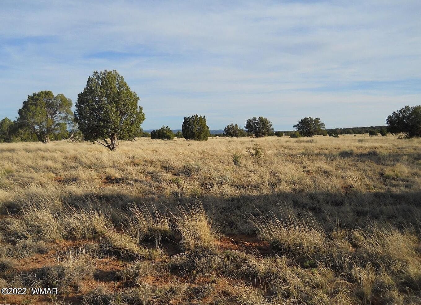 19 County Rd Concho, AZ 85924 - Thumbnail 5