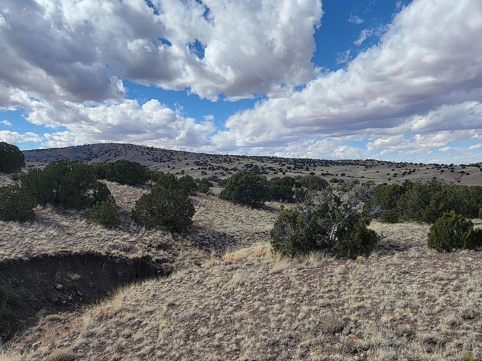 County Road N5337 Concho, AZ 85924 - Thumbnail 5