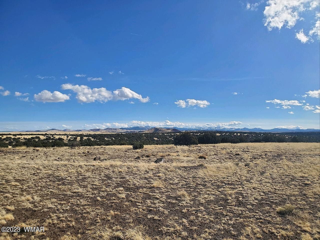 County Road 5141 Concho, AZ 85924 - Thumbnail 5