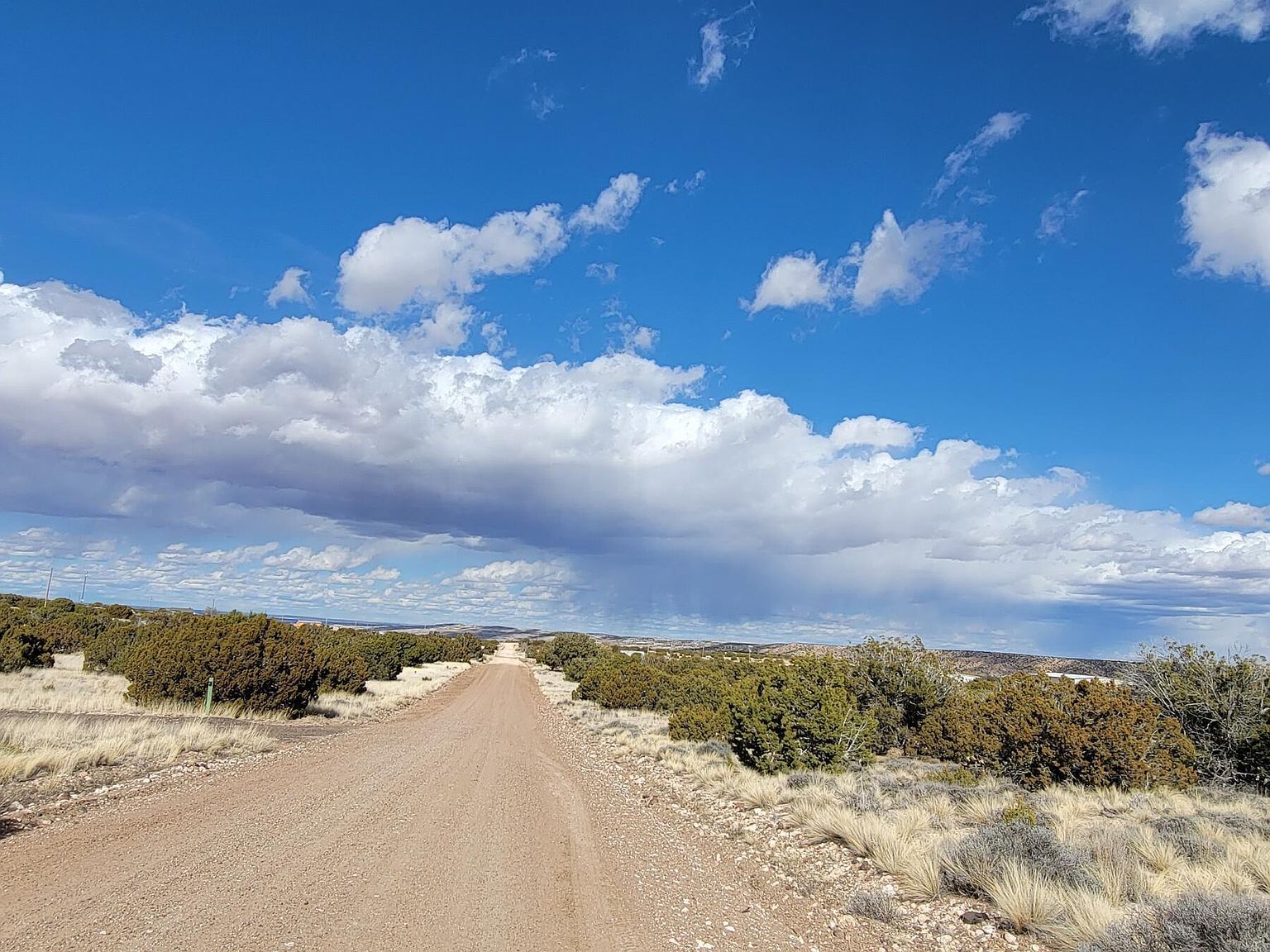 56 County Road 5066 Concho, AZ 85924 - Thumbnail 5