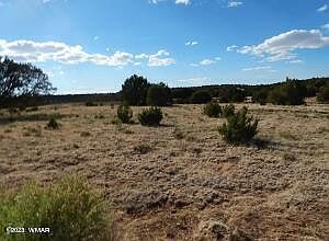 23 County Road 8021 Concho, AZ 85924 - Thumbnail 5