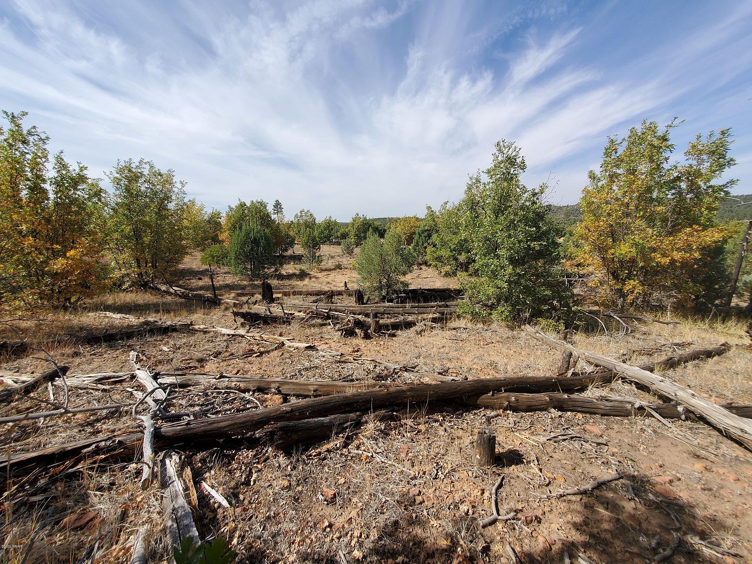 White Cloud Ln Pinedale, AZ 85934 - Thumbnail 5