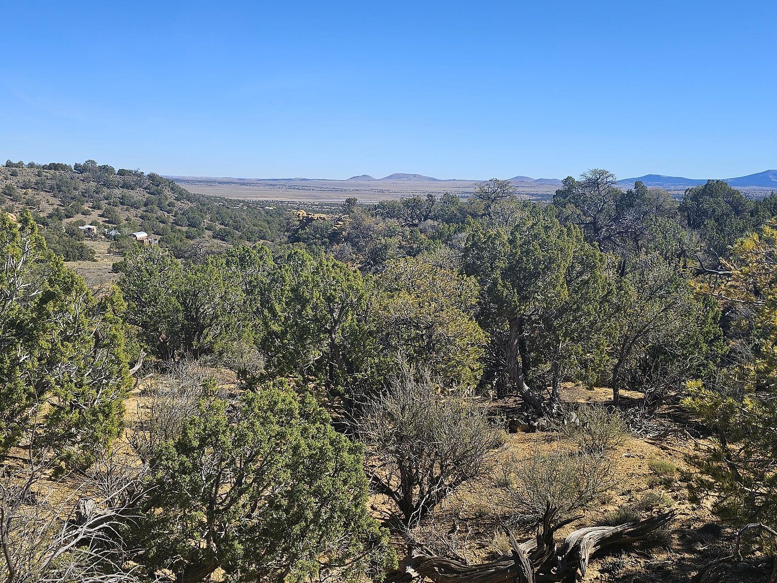 4 County Rd Concho, AZ 85924 - Thumbnail 5