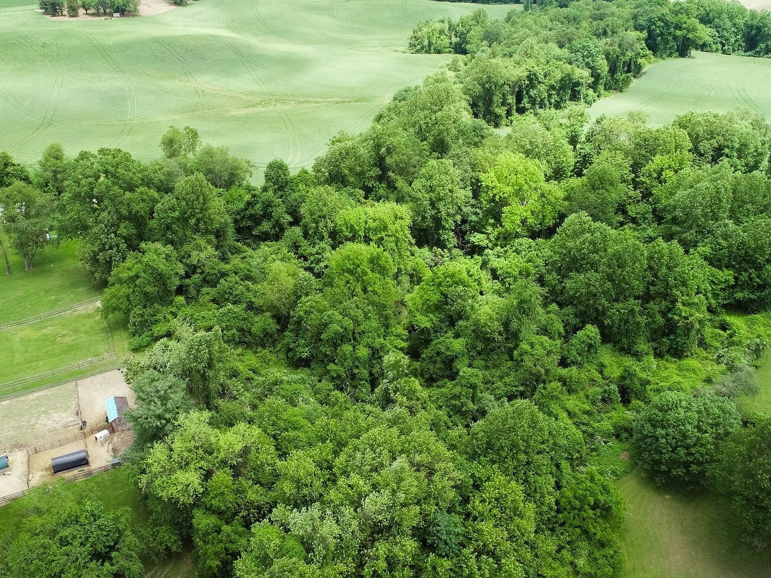 2229A Ady Rd Forest Hill, MD 21050 - Thumbnail 5