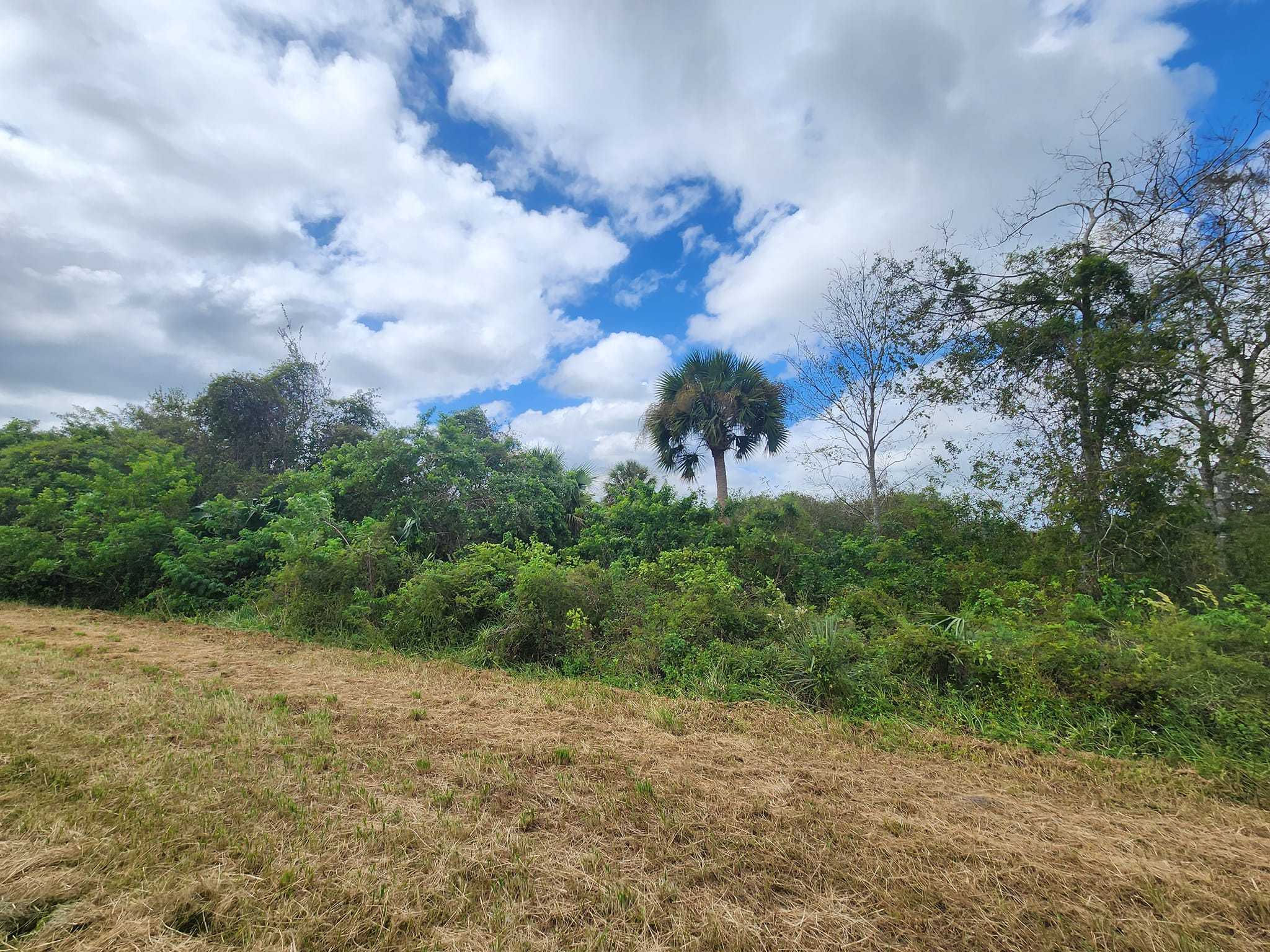 760 North Brida Street, Clewiston, FL, USA, 33440 - Thumbnail 5