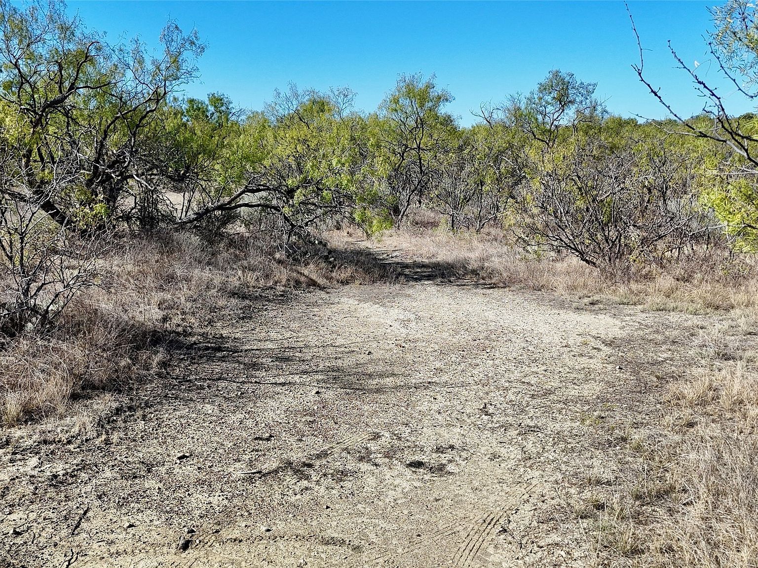 456 County Road 156 Eastland, TX 76448 - Thumbnail 5