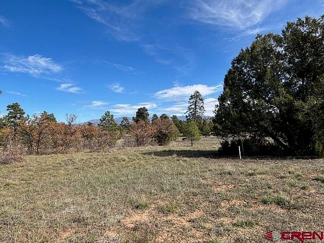 75 Vista San Juan Pagosa Springs, CO 81147 - Thumbnail 5