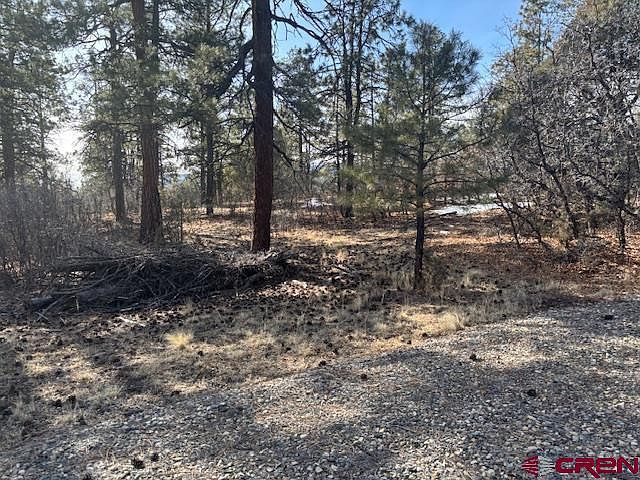 2308 Bull Elk Pl Pagosa Springs, CO 81147 - Thumbnail 5