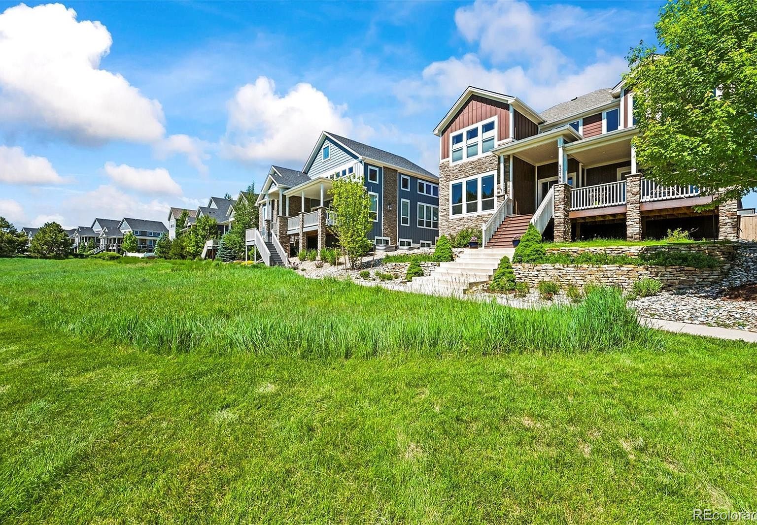 4378 Fell Mist Way Castle Rock, CO 80109 - Thumbnail 5