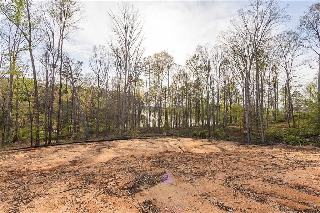 605 Elizabeth Rd LOT 1 Westminster, SC 29693 - Thumbnail 5