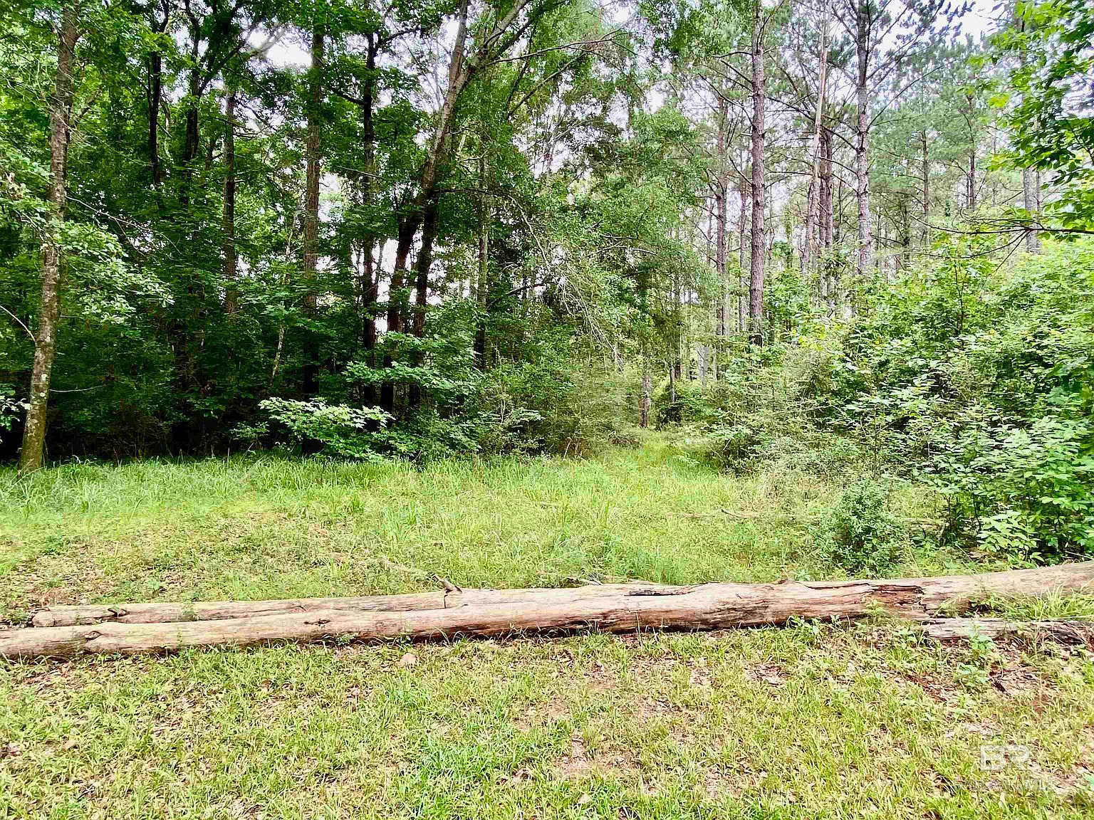 LOT 58 Riverview Lndg #58 & 58 Camden, AL 36726 - Thumbnail 5