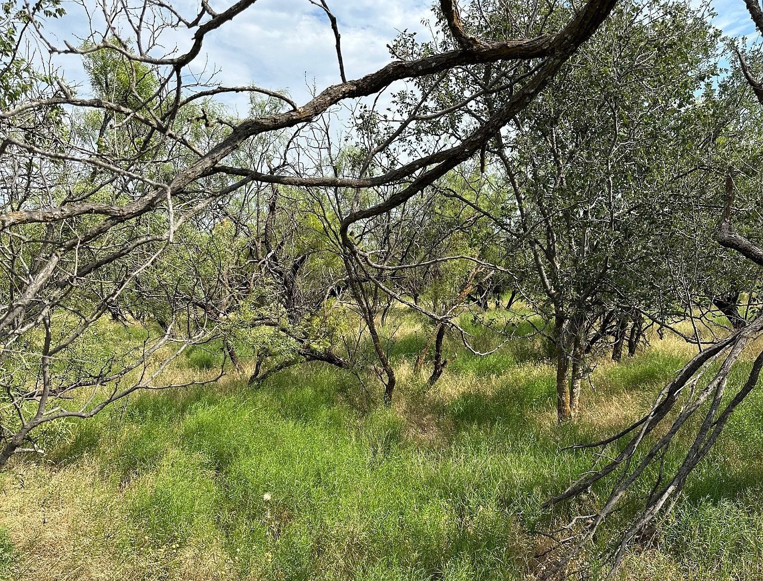 19 County Road 150 Abilene, TX 79601 - Thumbnail 5