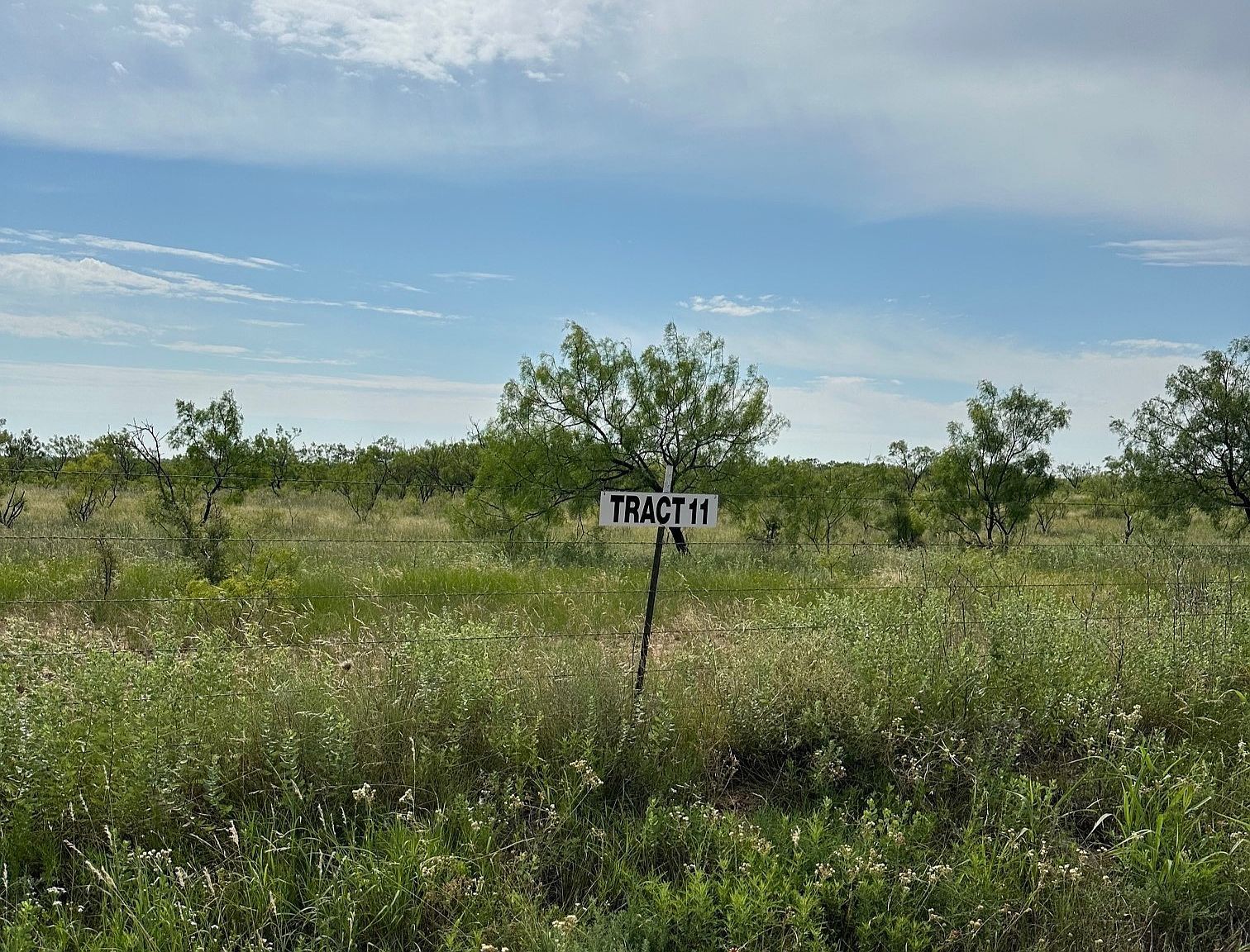 TRACT 11 County Road 152 Abilene, TX 79601 - Thumbnail 5