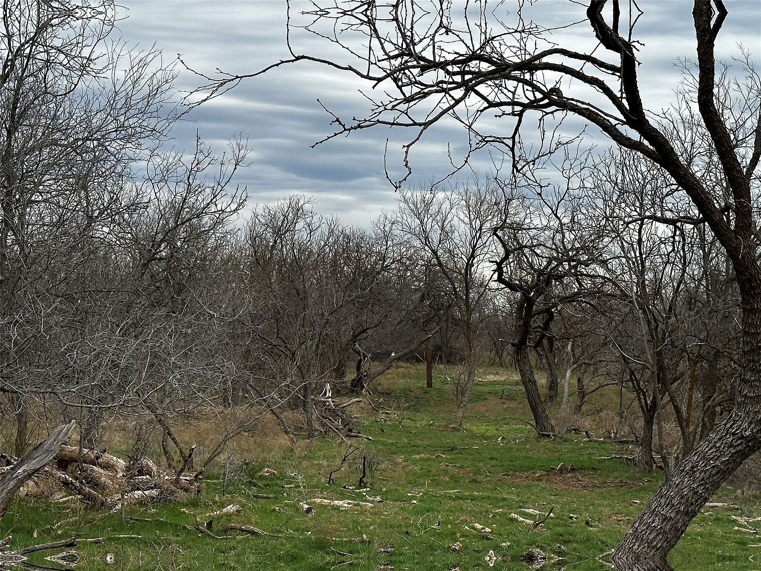 TRACT 23 County Road 105 Abilene, TX 79601 - Thumbnail 5