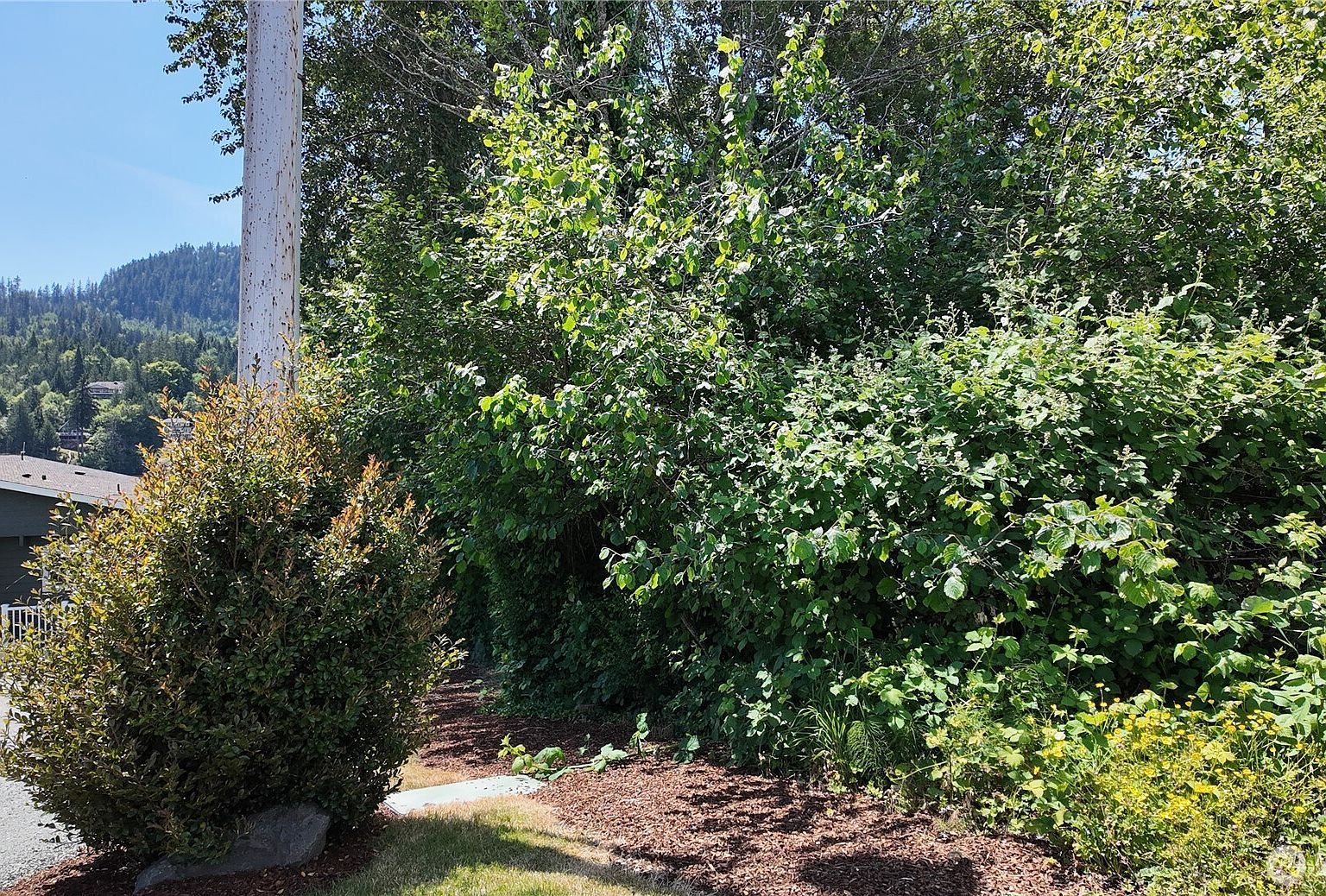 0 S Westview Rd Mount Vernon, WA 98274 - Thumbnail 5