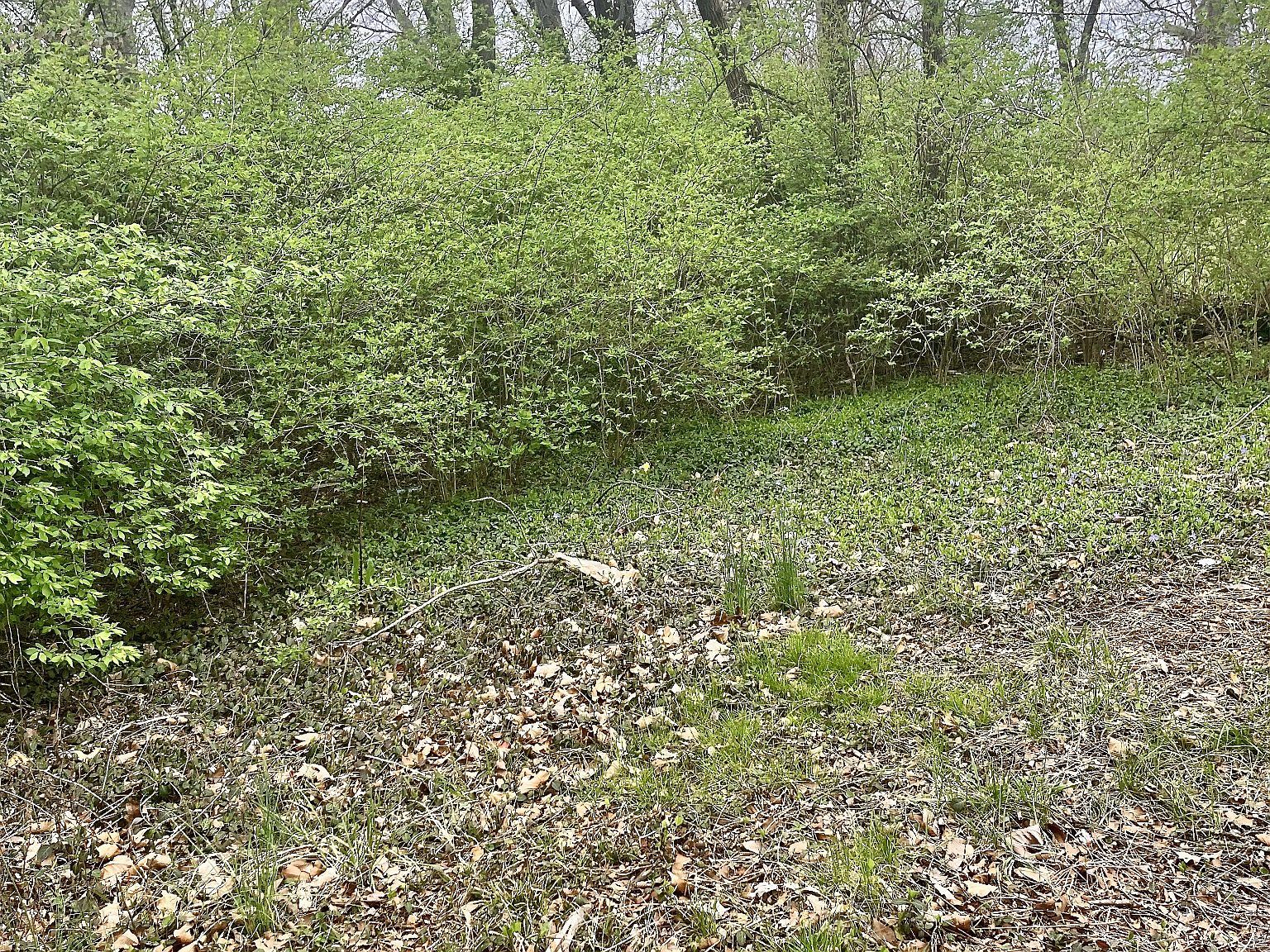 1717 Delta Ave LOT 208 Nashville, TN 37208 - Thumbnail 5