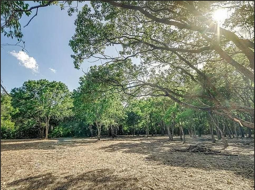 4206 Knights Station Rd #2 Lakeland, FL 33810 - Thumbnail 5