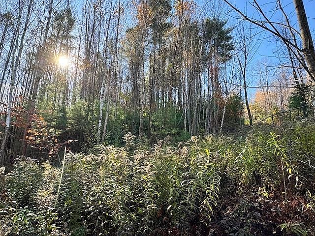 0 Route 132 Strafford, VT 05072 - Thumbnail 5