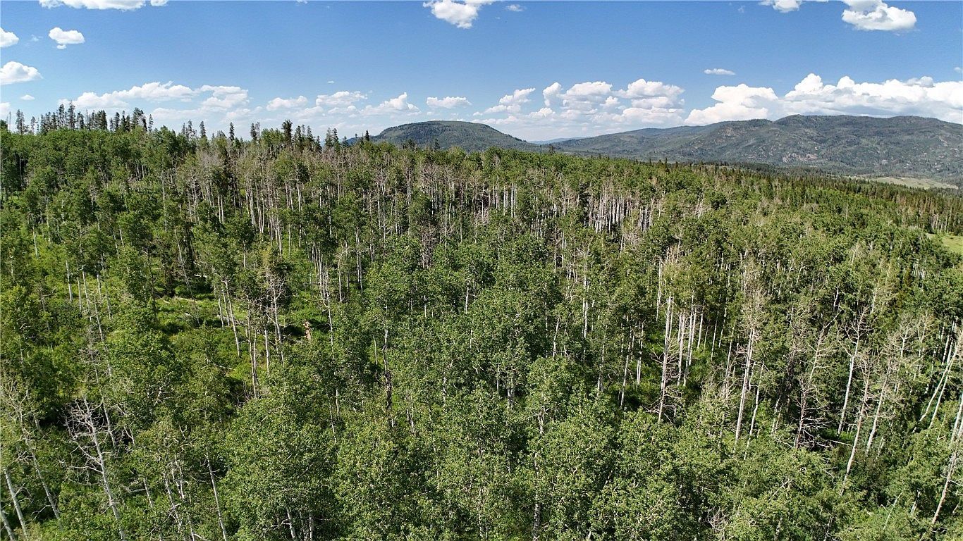 LOT 23 Gallop Trl Oak Creek, CO 80467 - Thumbnail 5