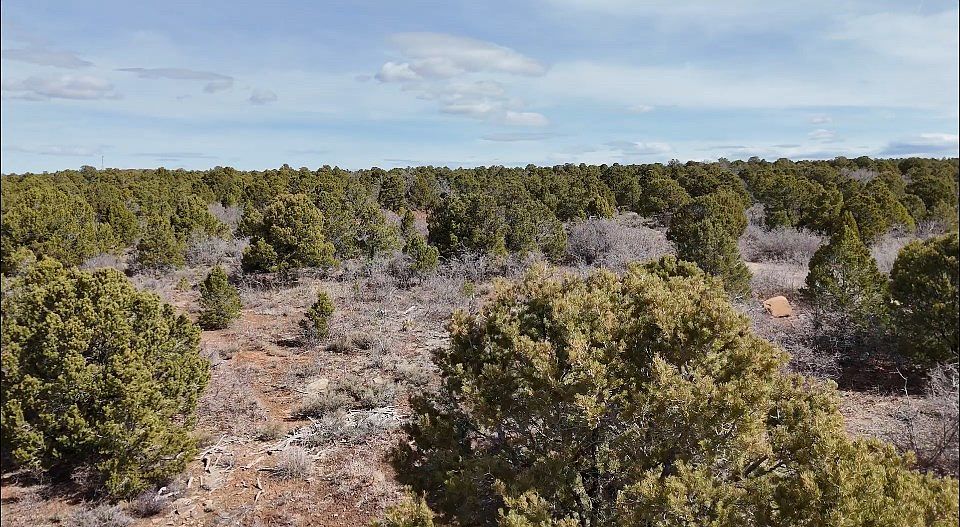 LOT 1 Road J7 Egnar, CO 81325 - Thumbnail 5