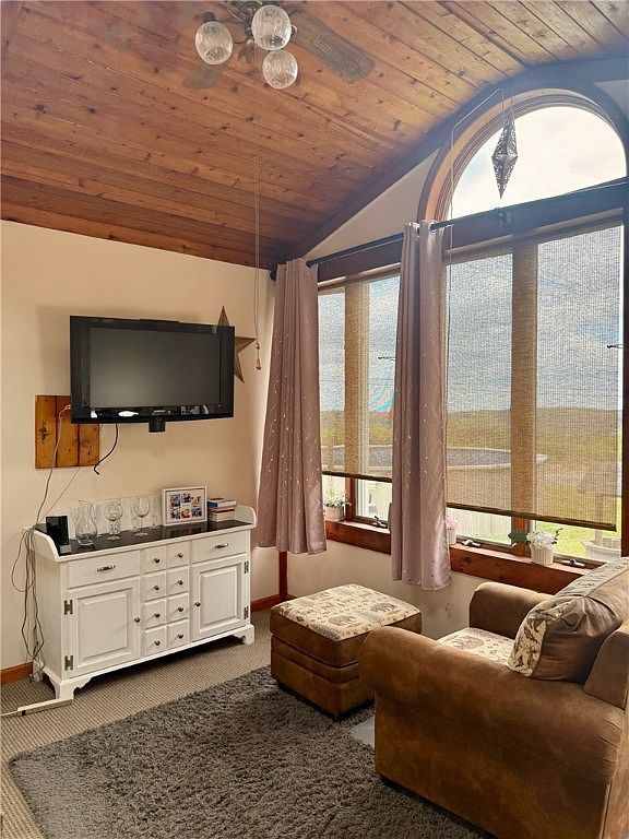 167 Austin Hill Rd Erin, NY 14838 - Thumbnail 5