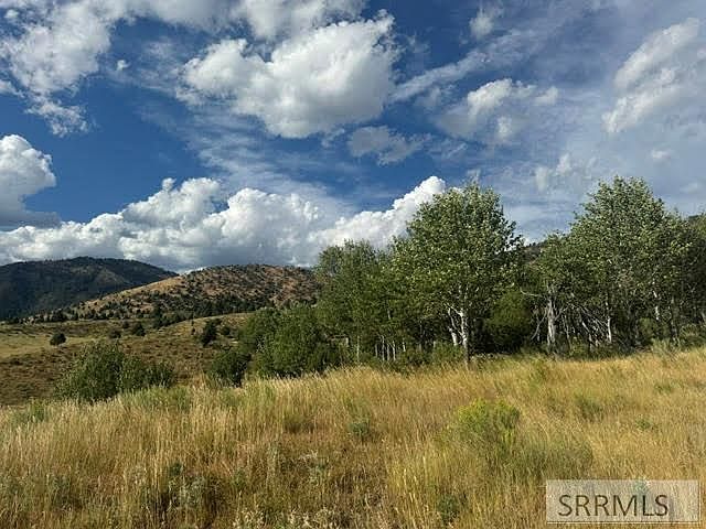 L7b1 Grand View Hts Swan Valley, ID 83449 - Thumbnail 5