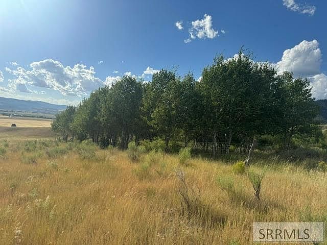 L1b1 Grand View Hts Swan Valley, ID 83449 - Thumbnail 5