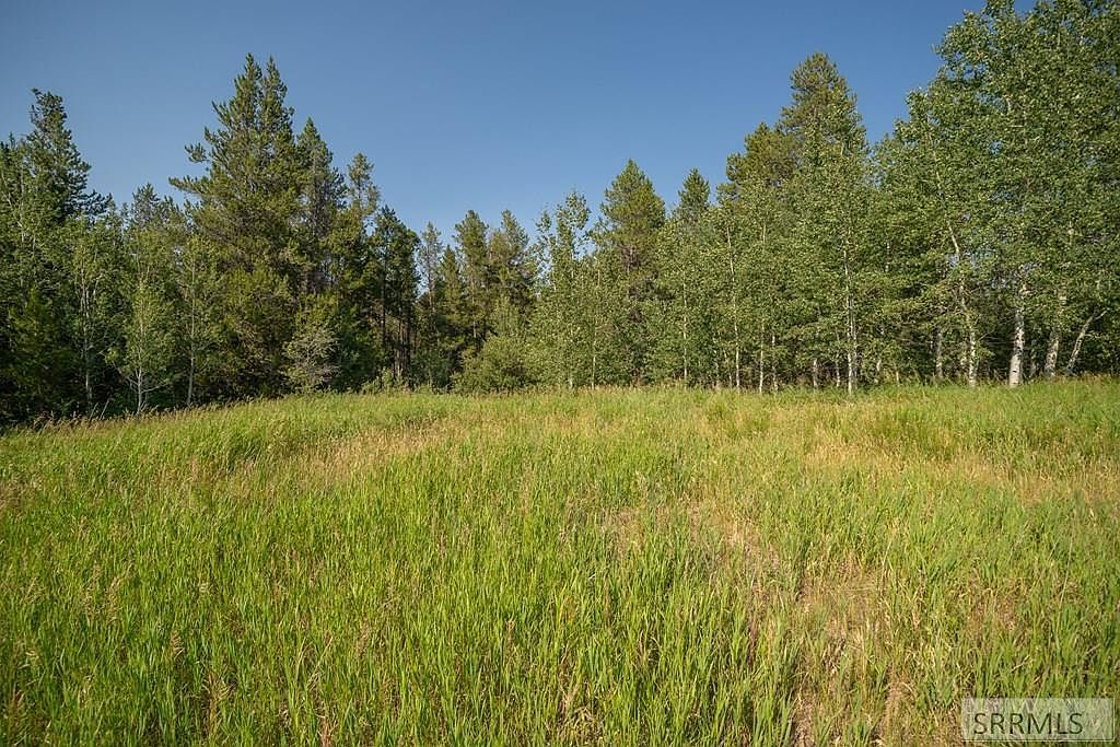 LOT 11 Potpourri Dr Ashton, ID 83420 - Thumbnail 5