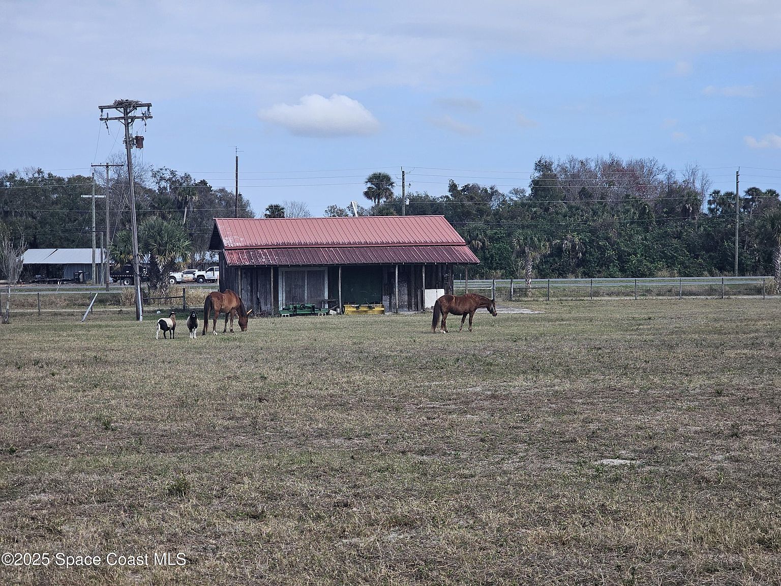 100 Nichols Rd Titusville, FL 32796 - Thumbnail 5