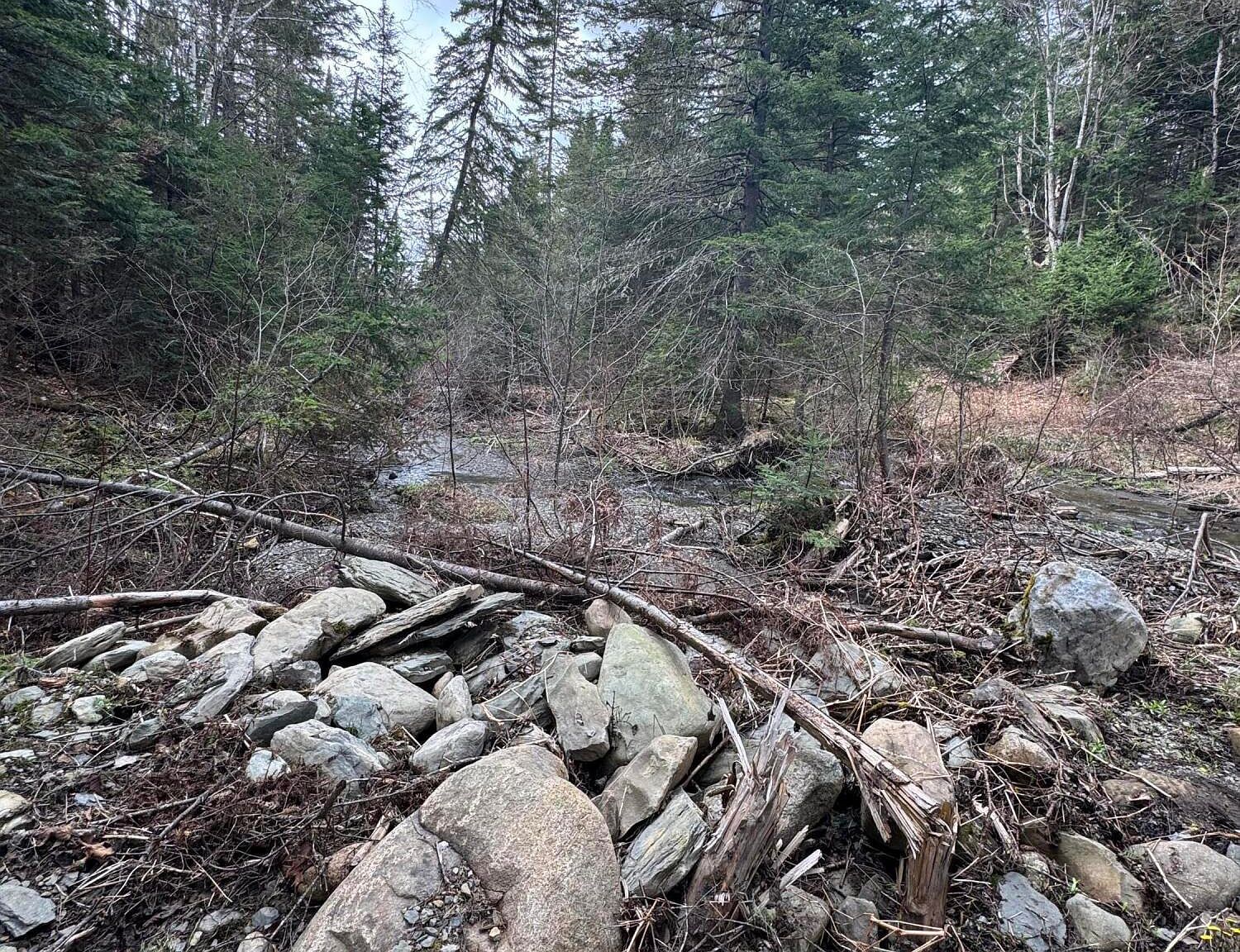 Lots3 4 5a Beaulieu Rd Madawaska, ME 04756 - Thumbnail 5