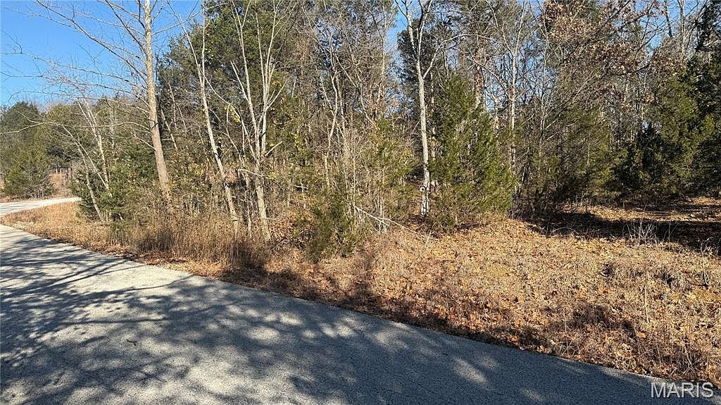 0 Sassafras Dr Hillsboro, MO 63050 - Thumbnail 5