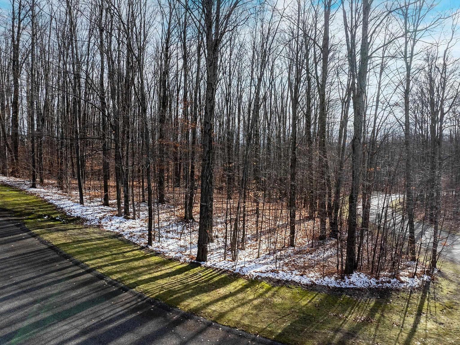 158 Forest Trl Bellaire, MI 49615 - Thumbnail 5