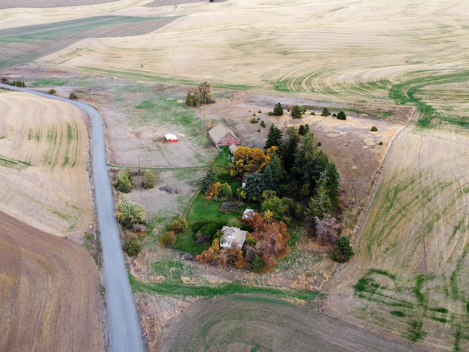 5904 Johnson Rd Pullman, WA 99163 - Thumbnail 5