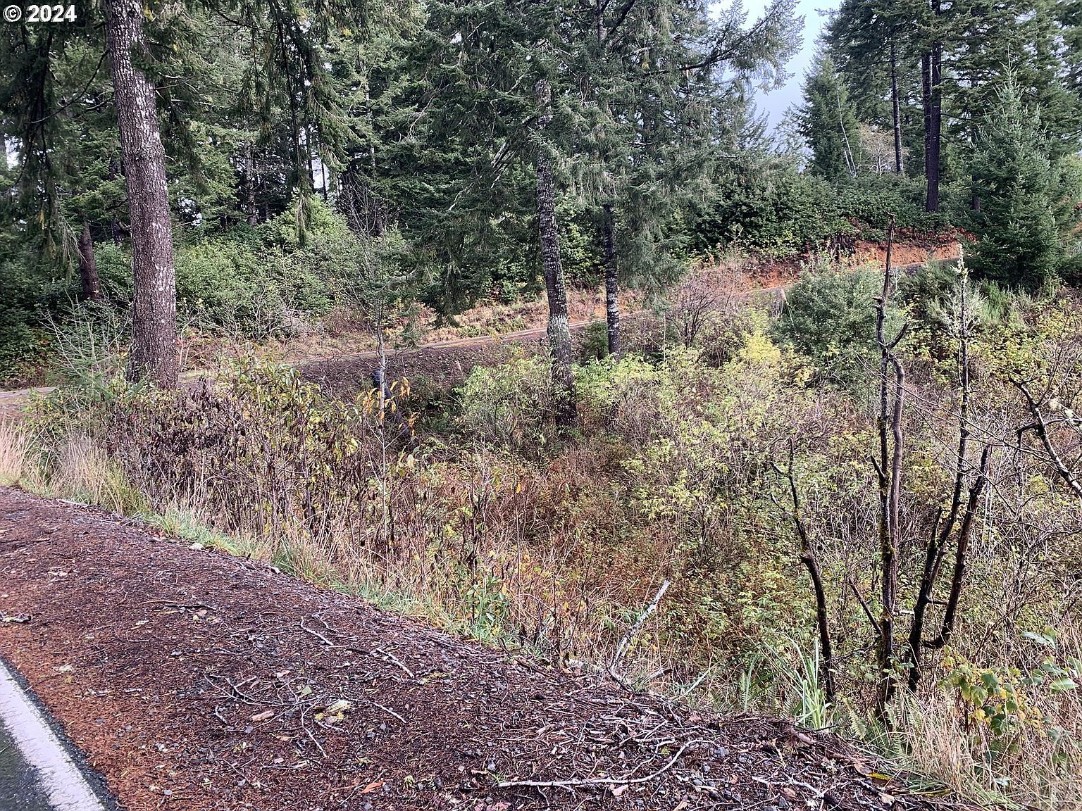 Duley Crk #501/503 Brookings, OR 97415 - Thumbnail 5