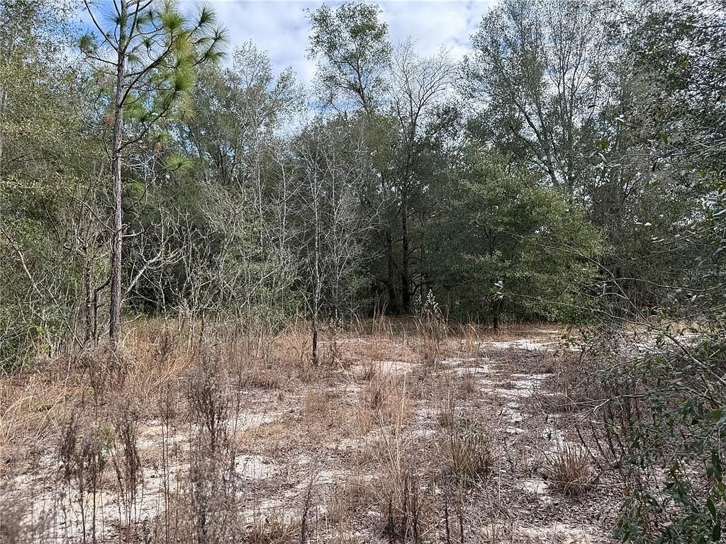 SE 92nd Ct Belleview, FL 34420 - Thumbnail 5