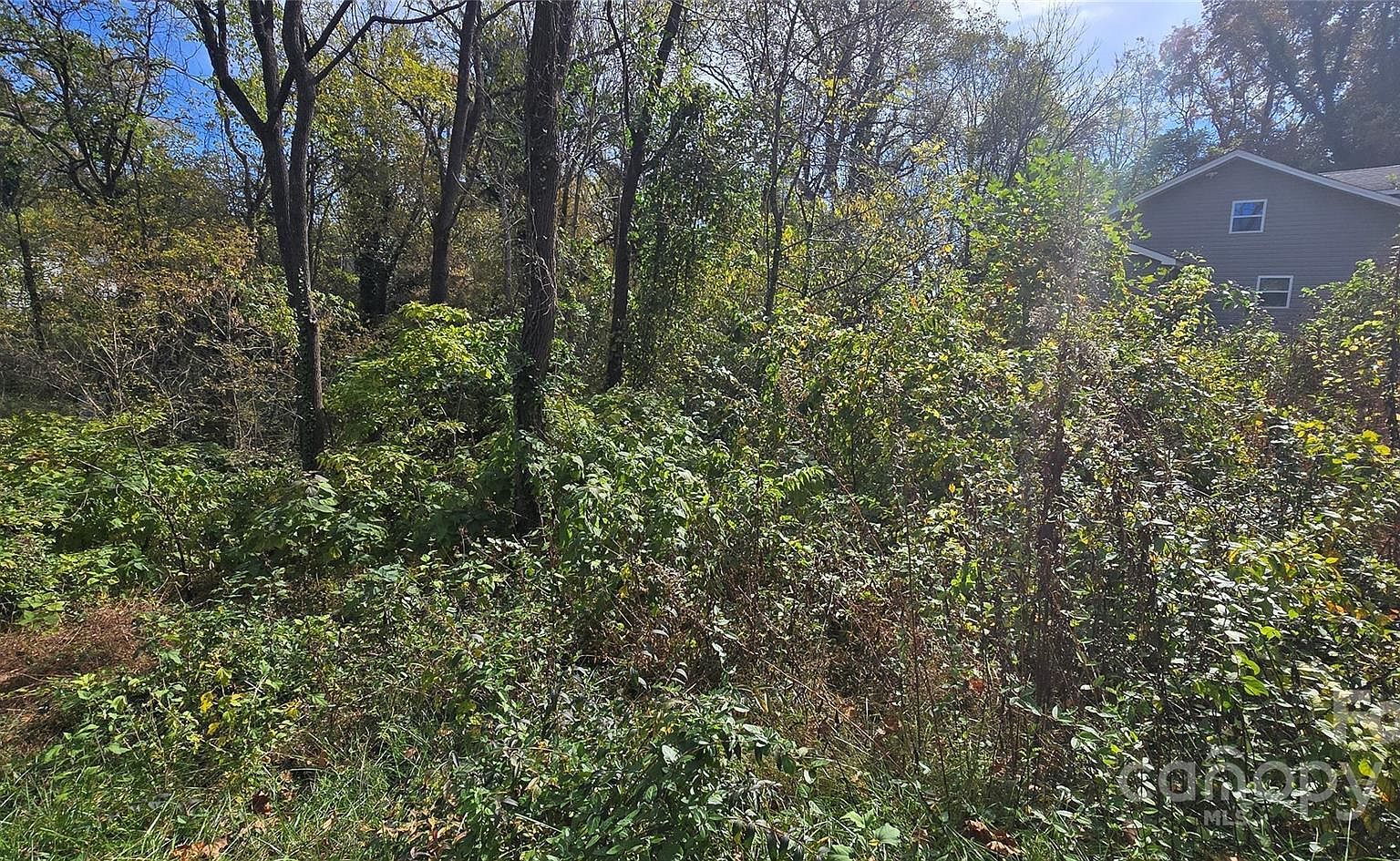 520 Healan Pl Lenoir, NC 28645 - Thumbnail 5