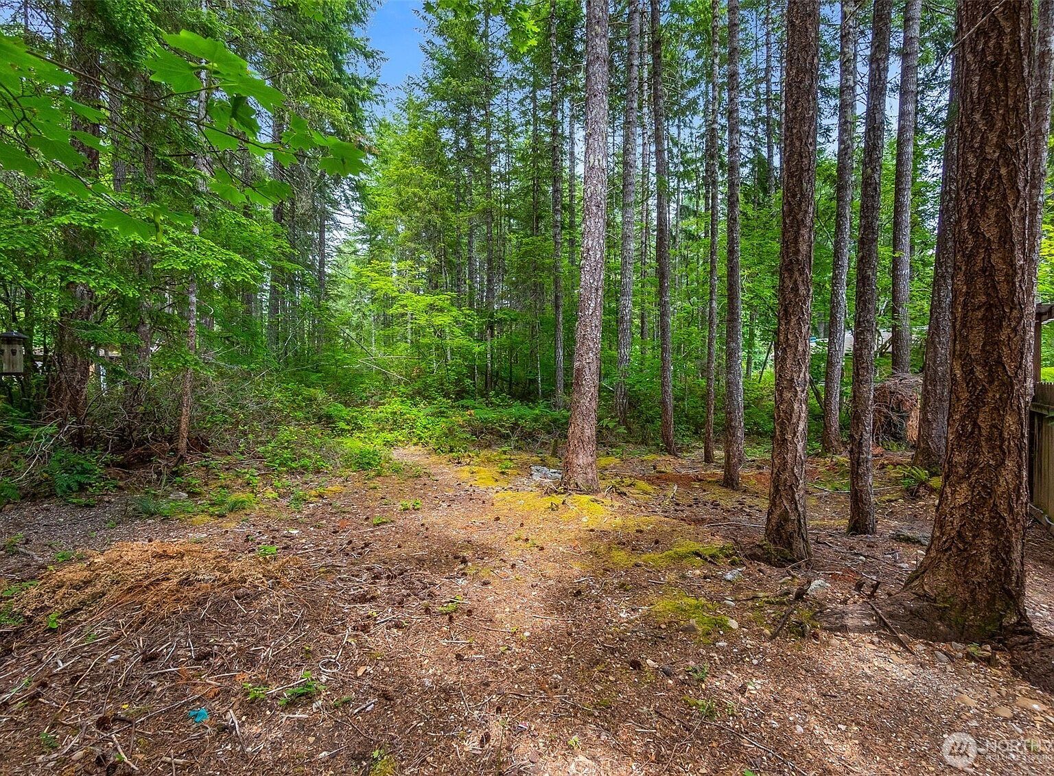 0 Xx N Mountain View Dr Hoodsport, WA 98548 - Thumbnail 5